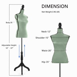 HOMBOUR Female Mannequin Body, Sewing Mannequin Torso Dress Form, Adjustable Mannequin with Stand for Display Dressmaker (Green)