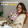Supet Cat Cone Collar Soft Comfortable Adjustable Waterproof cat recovery