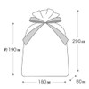 HEADS DFP-RBXS HEADS Double Layer Non-Woven Ribbon Bags 18 x