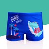 NautySaurs 2-Pack Boys Swimming Trunks 1-10 Years Kids Swimwear Toddler