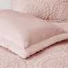 Pemberly Row 3-Piece Fabric Full/Queen Comforter Mini Set in Blush