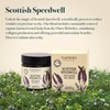 Napiers Speedwell Ageless Day Cream - Anti-Aging & Wrinkle Reduction