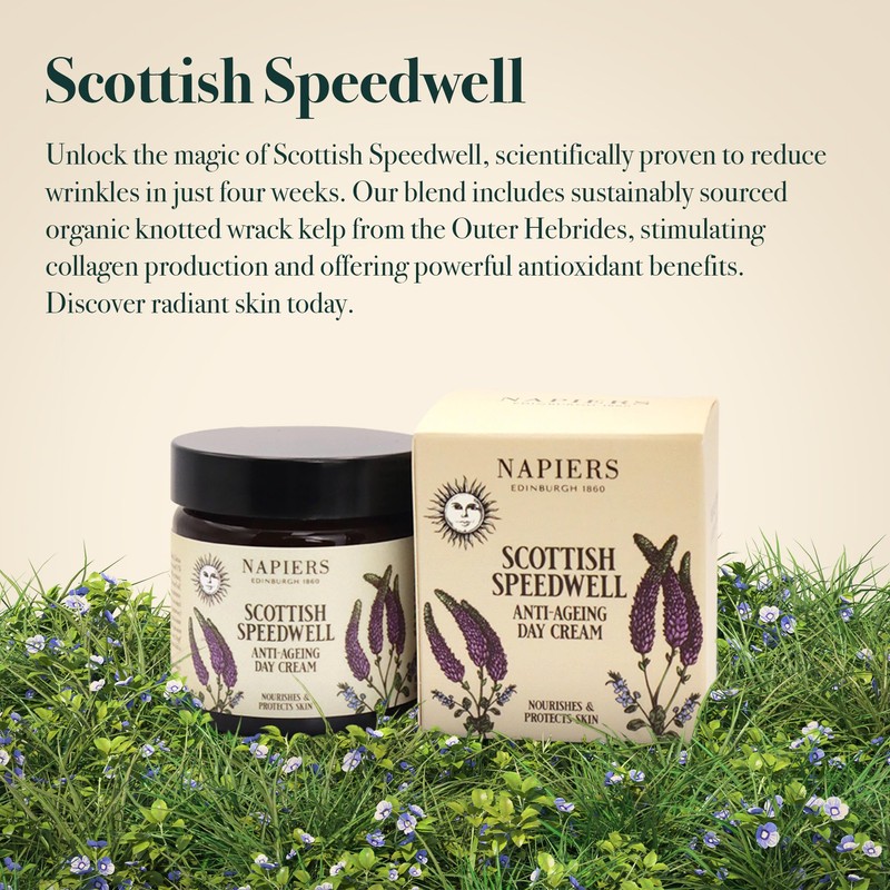 Napiers Speedwell Ageless Day Cream - Anti-Aging & Wrinkle Reduction