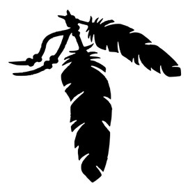 Generic Native American Feathers Vinyl Decal Sticker Indian Spirit Cars Bikes Cups Helmets CD Cases Laptops (Black, 3"" x 3"")