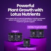 Grow Pro Series - Hydroponic Plant Nutrients and Fertilizer, Water