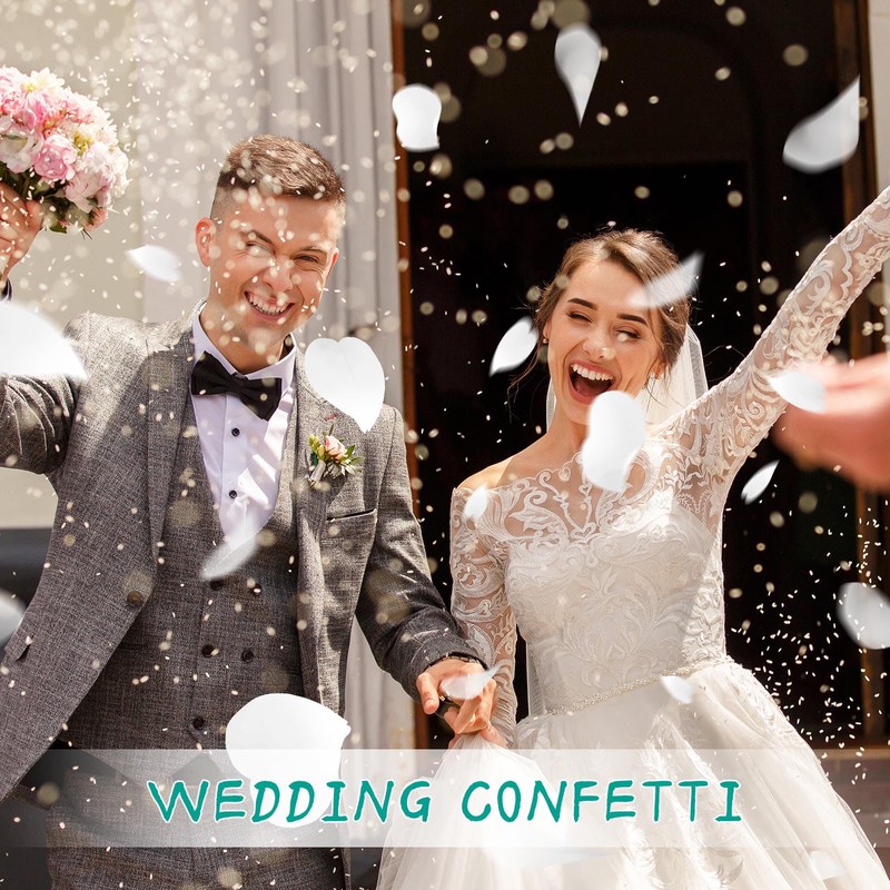 1500+ Dried Real Hydrangea Petals, Natural Preserved Flower Petal for