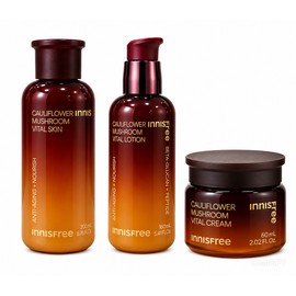Innisfree Flower Mushroom Vital 3 types (skin + lotion + cream) / 이니스프리 꽃송이버섯 바이탈 3종구성(스킨+로션+크림)
