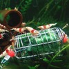 Joocyee Stainless Steel Dry Spinach Feeder Cage Aquarium Aquarium Shrimp