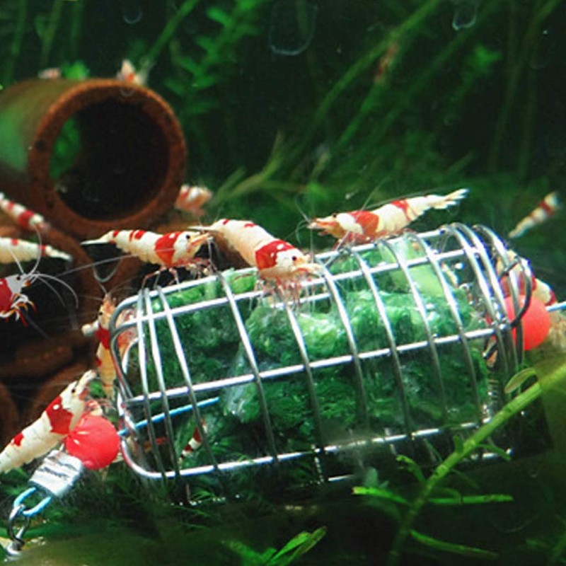 Joocyee Stainless Steel Dry Spinach Feeder Cage Aquarium Aquarium Shrimp