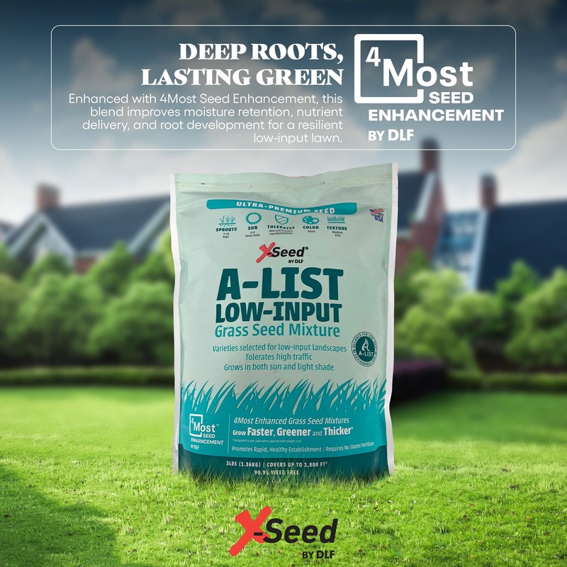 A-List Low Input Mixture Lawn Seed - Premium Grass Seeds