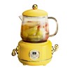 Health Pot Stainless Steel Glass Multifunctional Mini Electric Tea Maker