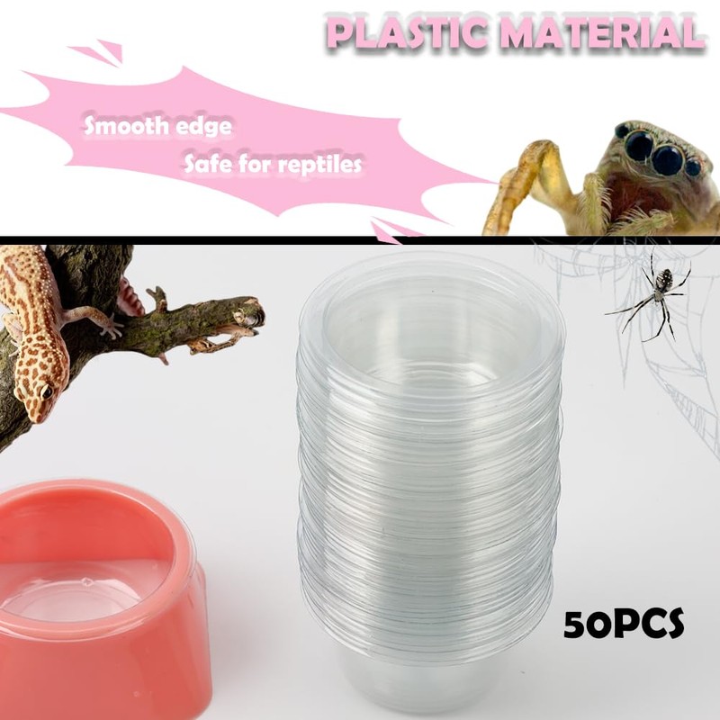 50 Pcs 0.5oz Spider Food and Water Feeding Cups Small