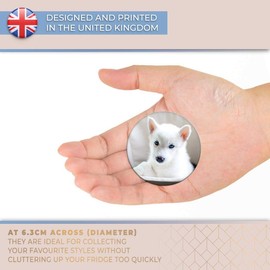 Destination Vinyl ltd Magnet for Refrigerator, Fridge - Cute White Husky Puppy Dog for Office, Cabinet and Whiteboard, Magnetic Stickers, 44817