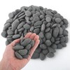 Quibbay 5 lbs Mexican Beach Pebbles, 0.4-1 Inch Natural River