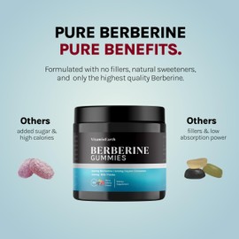 Vitamin Earth Berberine Gummies with Berberine HCL, Ceylon Cinnamon & Milk Thistle for Immune and Metabolism Support - Berry Cherry Flavor - 60 Count