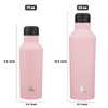 Insulated Water Bottle with Straw,17 OZ Double Wall Vacuum Stainless