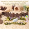 Sukh Herb Bedding Habitat Decor - Natural Flower Hamster Mate