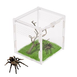 Rislobx Jumping Spider Enclosure, Acrylic Reptile Terrarium Enclosure Micro Habitat Tank Breeding Box for Tarantula Insect Small Reptiles (3.7" x 3.5" x 3.5")