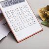 Leoyee Calculator, Ultra Thin and Elegant Tilt Design, Dual Power