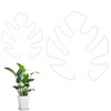 Monstera Plant Support 2pcs, 2 Size Monstera Shaped Plant Stand,