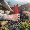 Weaver’s Hot Beef Sticks (80 hot & spicy 7” beef
