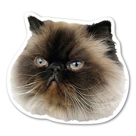 Magnet America Himalayan Cat Magnet is 4.5" x 5" Made for Vehicles and Refrigerators