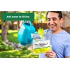 RESCUE! Disposable Yellowjacket Trap - Mountain & Pacific Formula -