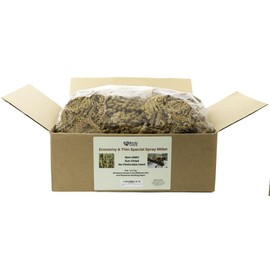 Birds LOVE Economy & Thin Special Spray Millet GMO-Free No Pesticides (No Stems Only Edible Tops) for Birds Cockatiel Lovebird Parakeet Finch Canary All Parrots Healthy Treat-5lbs…