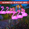 Tujoe 36ft Solar Stake Lights with 16 LED Solar Powered