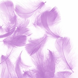 Light Purple 600pcs Colorful Feathers 20 Colors Craft Feathers 3-5 Inches Assorted Rainbow Colors Feathers for Kids Handmade Wedding DIY Decorations Natural Feather