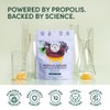 Soothing Honey Elderberry Cough Drops by Beekeeper's Naturals - Immune