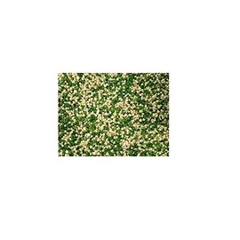 Askoll Aquarium Sand Premium, Washed and Ready to use (Mix Green and Yellow)