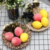 TTS For Home Wall Basket Decor Set of 2 (25cm/9.8in)