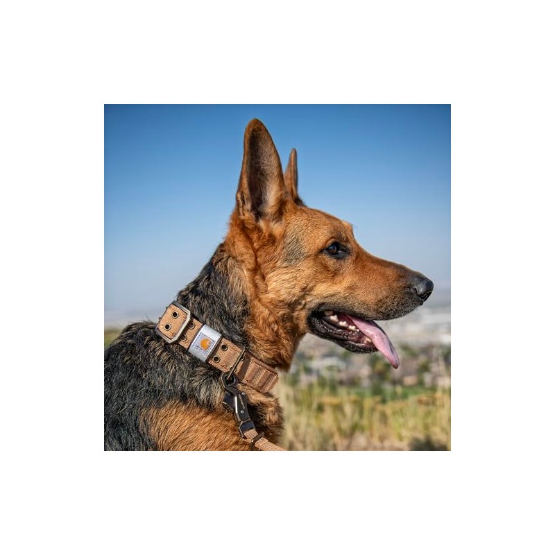 Carhartt Collar de cincha Ancha Totalmente Ajustable para Perros, Carhartt