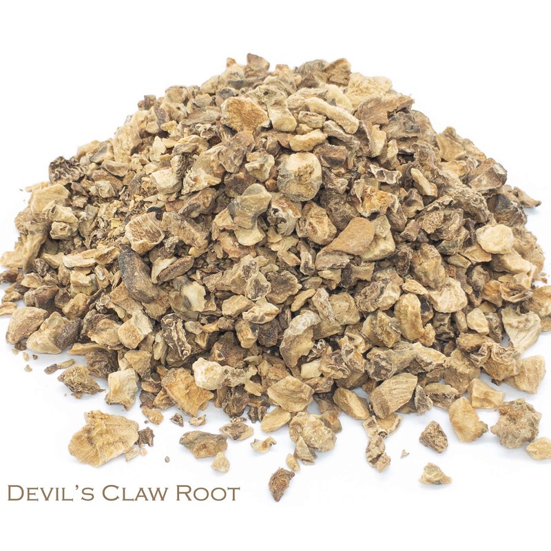 Devil's Claw Root and Iron Goddess Oolong Tea Herbal Infusion