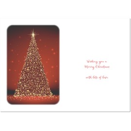 doodlecards Special Boy Christmas Card Red Christmas Tree Medium Size Christmas Card for Special Boy with Plain Envelope