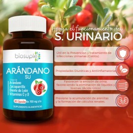 Extracto Arándano +suplementos Sistema Urinario 60caps700mg
