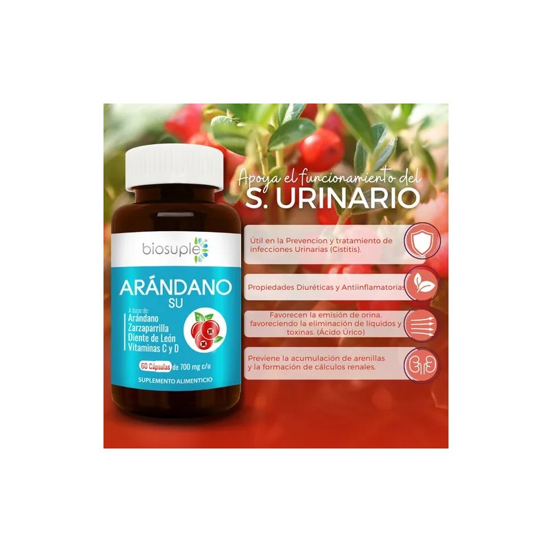 Extracto Arándano +suplementos Sistema Urinario 60caps700mg