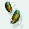 Menopausal women, middle-aged health functional food, calcium absorption aid, green