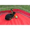 Prevue Pet Products Grassy Nibblers Squash Small Animal Chew Toy
