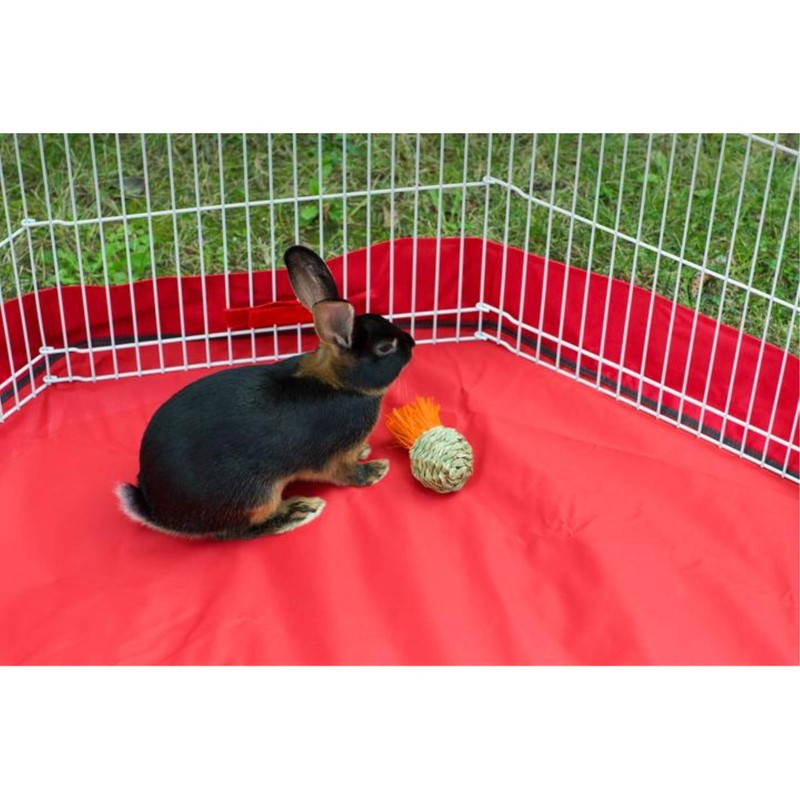 Prevue Pet Products Grassy Nibblers Squash Small Animal Chew Toy