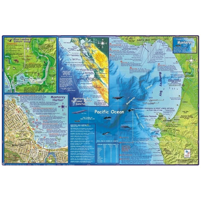 Monterey California Adventure & Dive Guide Map Laminated Poster by