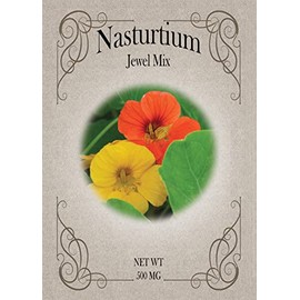 Set of Nasturtium Seed Packets - Create Your Dream Garden - Bulk Flower Seeds (25)