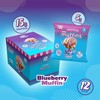 Blueberry Prime Bites Protein Mini Muffins - 15g Protein, Low