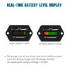 Runleader 12/24V Battery Fuel Gauge Meter,Battery Level Meter,Lead Acid Battery