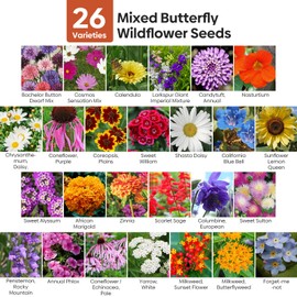 Groundio All Perennial Wildflower Seeds Bulk, 1/4 lb, 100,000+ Seeds, 26 Variety Mix with Coreopsis, California Blue Bell, Attracts Pollinators, Plant in Spring or Fall