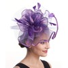 Fascinator Women's Organza Church Kentucky Derby British Bridal Tea Party