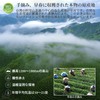 XIXICHA Special Taiwan Alishan Oolong Tea 5.3 oz (150 g),
