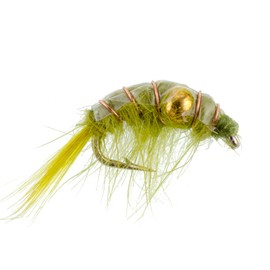 The Fly Fishing Place Olive Beaded Shrimp Scud Patterns- 6 Flies - Size 12 - Tailwater Lake Fly Fishing Nymph Flies