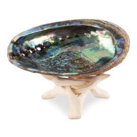Wish Well Natural Abalone Shell 5.5-6 Inch Large with Wooden Stand - Incense Holder and Sage Smudge Bowl for Cleansing, Smudging, and Meditation - Palo Santo Holder & Beautiful Home Decor
